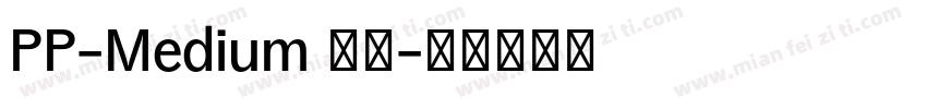 PP-Medium 常规字体转换